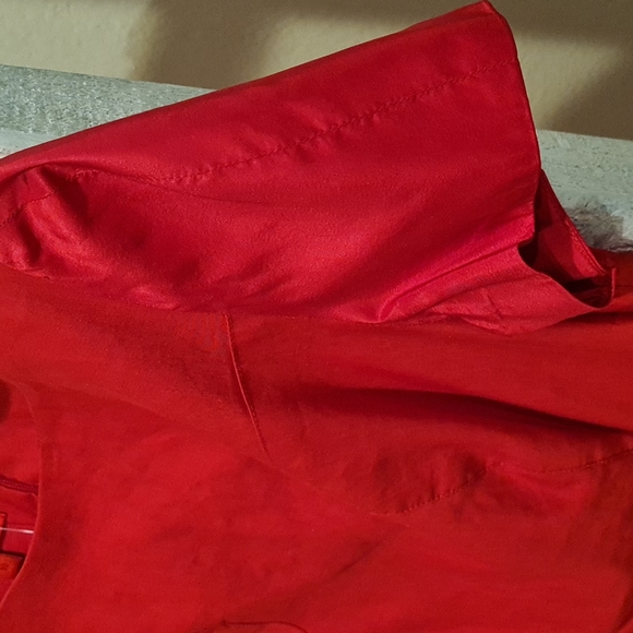 Red Dress - Picture 3 of 4